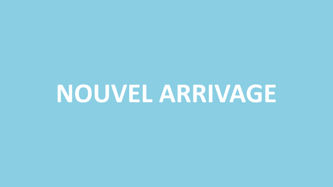 Annexe
